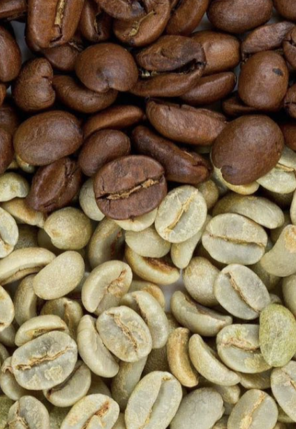 Green and roasted coffee beans together